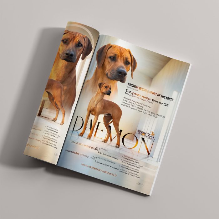 Rhodesian Ridgeback EU Magazine  - 1 page