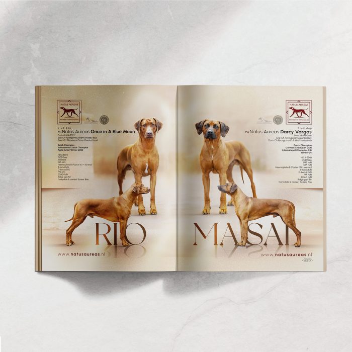 Rhodesian Ridgeback EU Magazine  - Double page