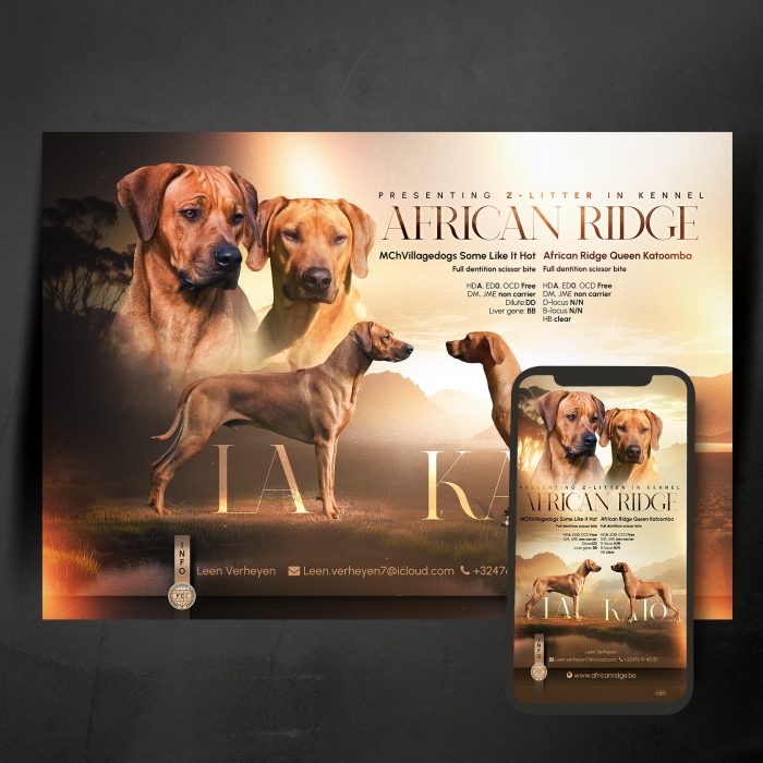 AD DESIGN + Story format