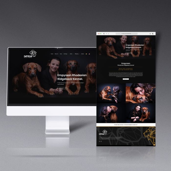 Web design - Advanced plan